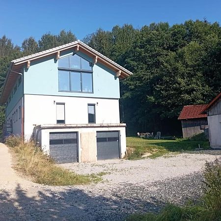 Fewo Wiesenblick Waldmünchen エクステリア 写真